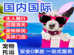荆州沙市机场快运国际宠物托运 【国